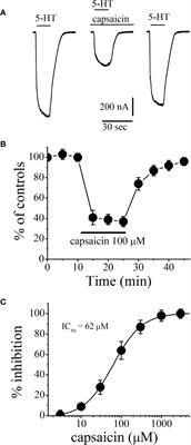 Capsaicin Is a Negative Allosteric Modulator of the 5-HT3 Receptor